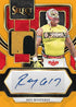 Panini Select WWE Wrestling International Hobby Box 2024