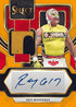 Panini Select WWE Wrestling Hobby Box 2024